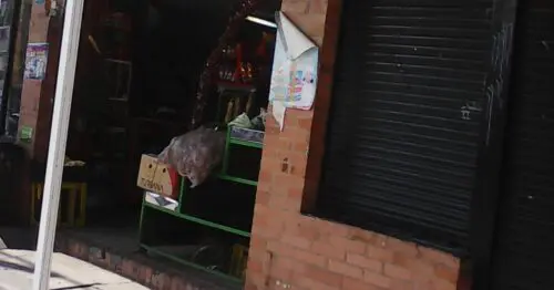 TIENDA DE BARRIO CALLE 23D CALLE 23D 103